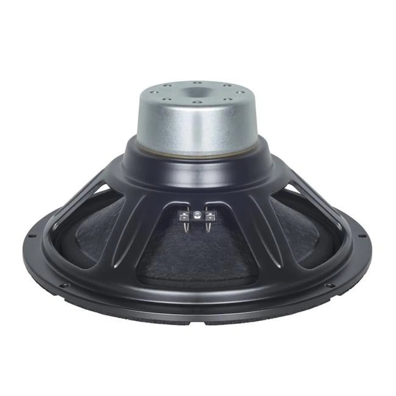 12.0 in. Woofer with 8 Ohms Impedance & 700W Continuous Power Handling Capacity & Neodymium Inside Slug Magnet